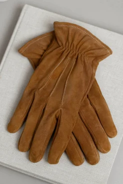 Pini Parma Nocciola Cashmere Lined Suede Gloves - Made In Italy Best Sale