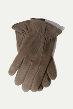 Pini Parma Taupe Cashmere Lined Suede Gloves - Made In Italy Best Sale